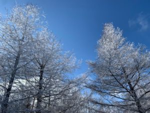 御在所岳の登山情報｜初心者向け春夏秋冬 基礎知識とルートアクセス 