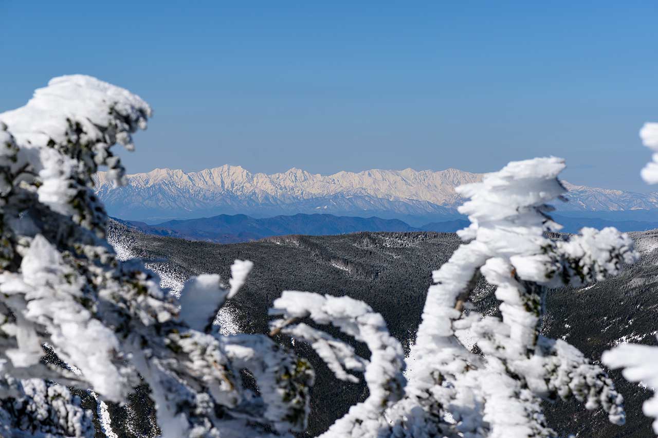 八ヶ岳連峰 北横岳で雪山デビュー マウンテンシティメディア