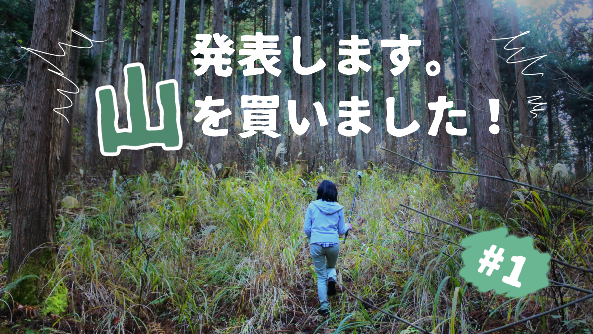 発表します 山を買いました 1 自分のキャンプ場を作る夫婦の話 マウンテンシティメディア