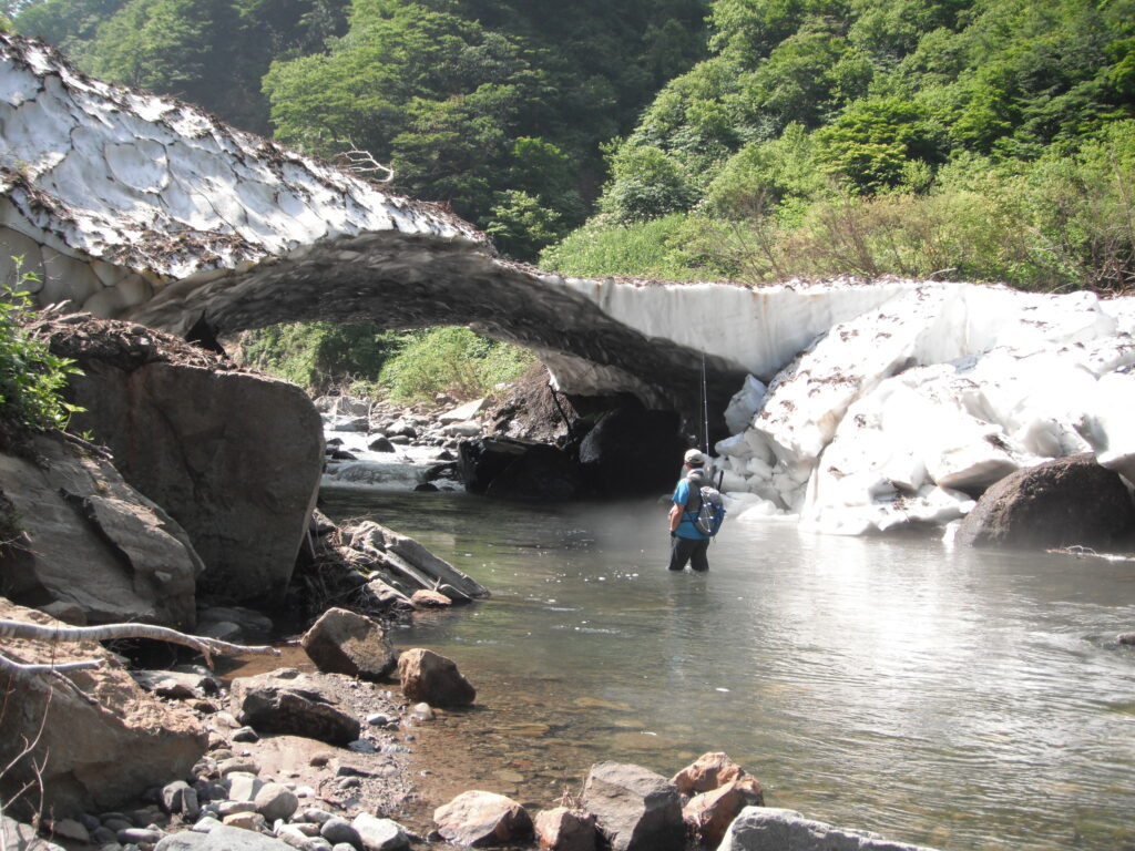 源流テンカラ釣り たいしょーの想い出釣行記＃1山形の源流「最初の